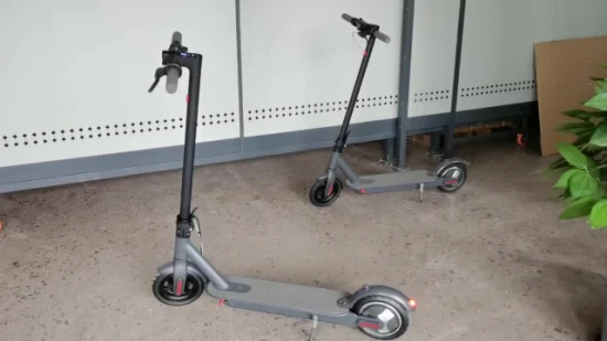 Two Wheel Smart Rear 500W Adult Self Balancing Electric Scooter