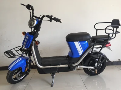 Electric Scooter with Seat for Both Children and Young Teenagers