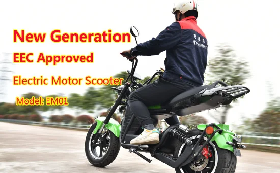 China Factory 3000W 4000W 5000W EEC Adult Electric Motor Scooter