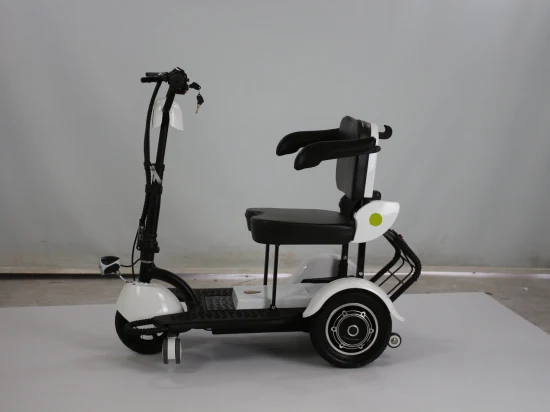 Lightweight and Easy-to-Fold Cheap Disabled 3 Wheel Tricycle Electric Mobility Scooter for Convenient Movement